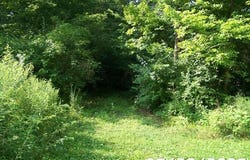 0 Owens Road E, Marion, OH 43302