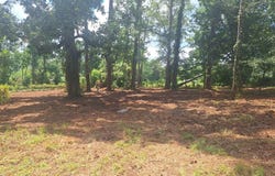 880 Sellers Rd, Baxley, GA 31513