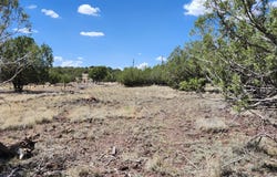 467 W EDGEWOOD Drive, Williams, AZ 86046