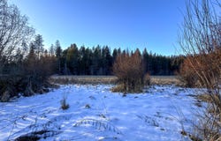 331861 HIGHWAY 2, NEWPORT, WA 99156