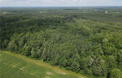 Tbd Schalk Road, Ogema Twp, WI 54459