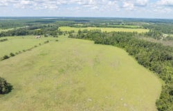 Wellborn, FL 32094