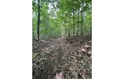 9999 Lela Lane, Monticello, KY 42633