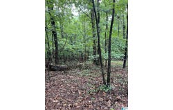 6156 COUNTY ROAD 29, HAMILTON, AL 35570