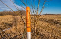 TBD Belvidere Rd, Cochrane, WI 54622