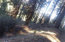 0 El valle Road, Cedarpines Park, CA 92322