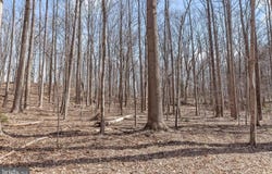 3891 GREENMEADOW LN, DAVIDSONVILLE, MD 21035