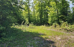 3625 E SIMMONS RD, HESSEL, MI 49745