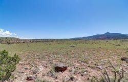 Lot #3 Las Animas de Abiquiu, Youngsville, NM 87064