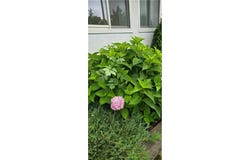 309 5th Street SW, Austin, MN 55912