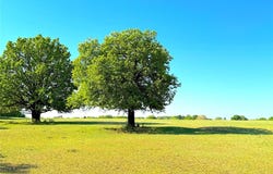Tbd Mcmillan Road, Mineral Wells, TX 76067