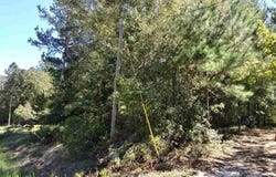 Glover Rd., Harrison, GA 31035