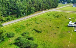 000 Weaver Ridge Road Road, Rougemont, NC 27572