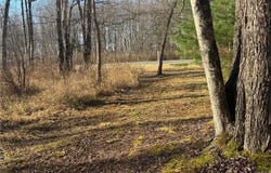 Rt-13 N, Blossvale, NY 13308