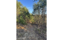 Rudd Hollow Rd, Townsend, TN 37882