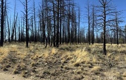 Mahogany Ln, Beatty, OR 97621
