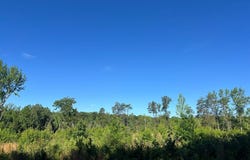7.42 AC Cole Lane, Scottsburg, VA 24589