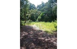 Tbd Dogwood, Murchison, TX 75778