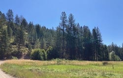 25XX HALL CREEK RD, INCHELIUM, WA 99138