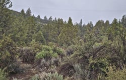 Lot 78 Mason Street, Sprague River, OR 97639