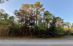 Lot 33 SW 97 PLACE, DUNNELLON, FL 34431