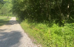 0 Sawmill Hollow RD, Williamsburg, KY 40769