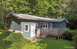 790 Thompson Road, Saluda, NC 28773