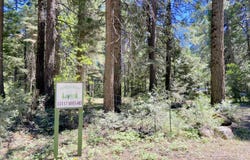 33117 Sites Road, Shingletown, CA 96088