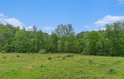 0 E Clear Lake Road, Buchanan, MI 49107