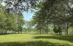 5816 Shady Bayou Ln, Milton, FL 32583