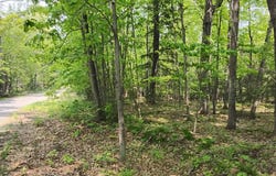 Lot 180 BUCKSKIN TR, Minocqua, WI 54548