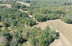 State highway RA, Milan, MO 63556