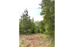 5030 County Rd, Kosciusko, MS 39090