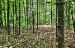 parcel 3 State Rte 30, Northville, NY 12134