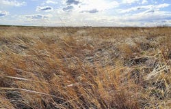 TBD Road 1W, Bushnell, NE 69128