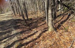 LOT16 PORCUPINE Ct, Becket, MA 01223