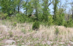 0 Trace Drive, St Robert, MO 65584
