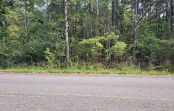 CO RD 63, Houston, AL 35572
