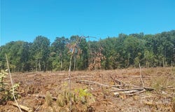 Requa Road, Cherryville, NC 28021