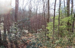 12 CEDARWOOD DRIVE ROAD, MATHIAS, WV 26812