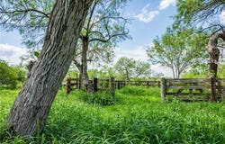 3900 Fm-2191, Falfurrias, TX 78355