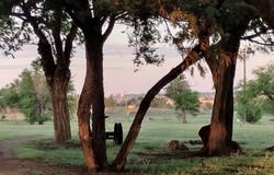 2409 ROAD AA, Goodwell, OK 73939