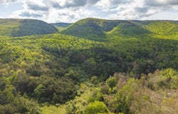 161 GLOVER RUN, GOSHEN, VA 24439