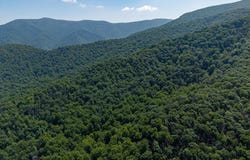 HELMS ROAD, STANLEY, VA 22851