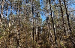 1059 Candy Lane, McComb, MS 39648
