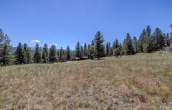 2 Middle Loop Road, Clancy, MT 59634