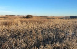 22942 Cattail Bend, Glenwood, IA 51534