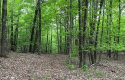 9550 Rocky Point Rd, COOKEVILLE, TN 38506