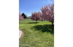 178 Farris Circle, LaFollette, TN 37766