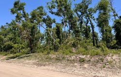 41&42 237TH ROAD, Live Oak, FL 32060